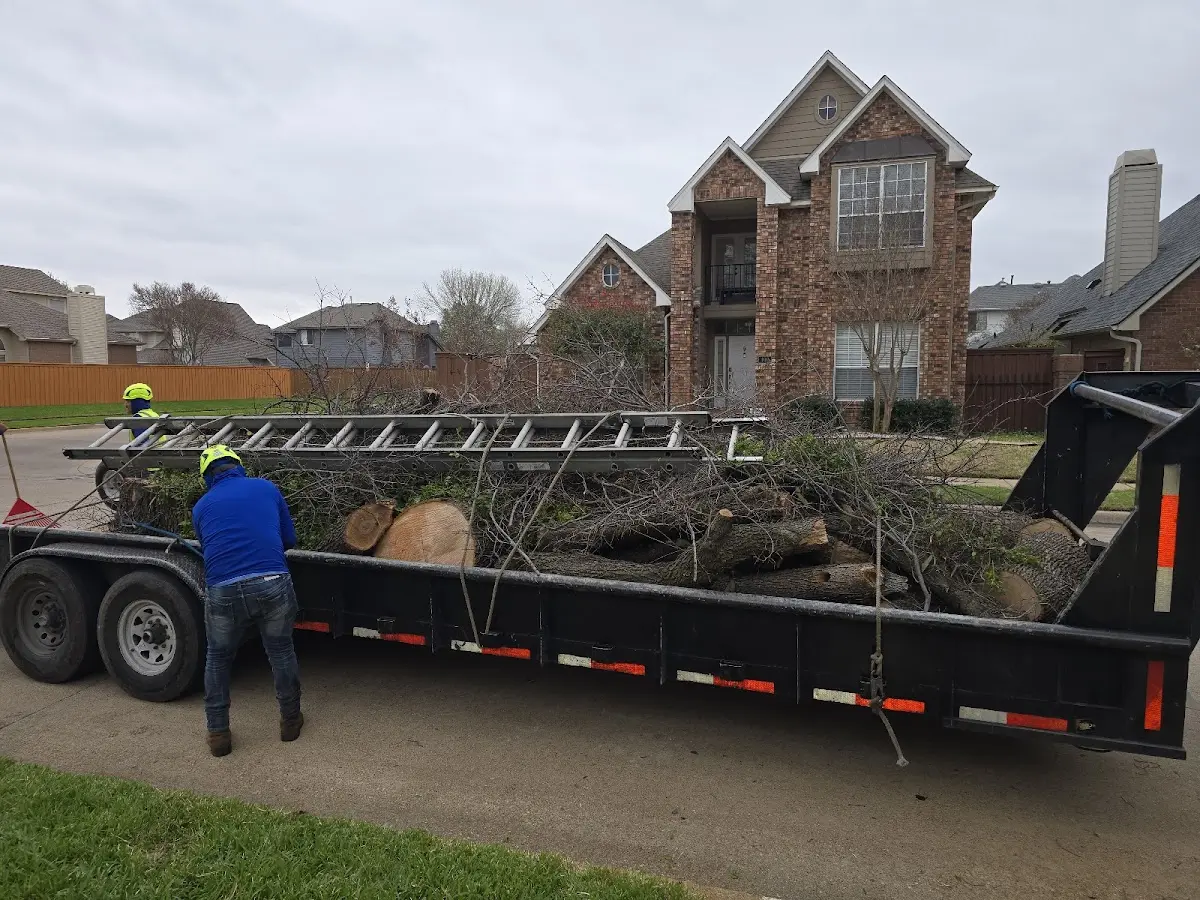 Expert Crown Reduction with proper safety equipment in Silver Creek